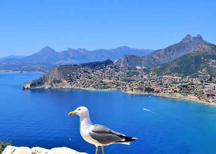 Vcari0406 Apartamento